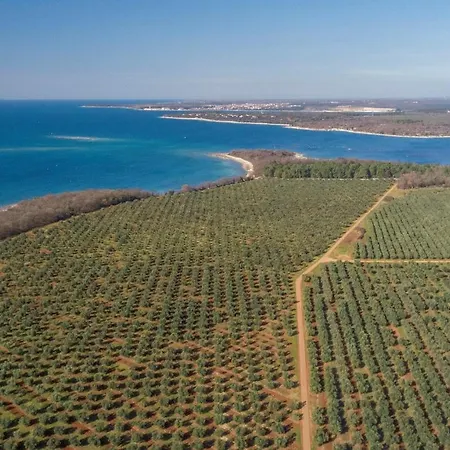 With Sea View Near Appartamento *