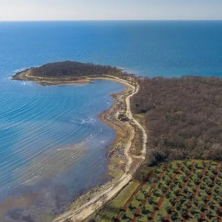 With Sea View Near Apartment Porec