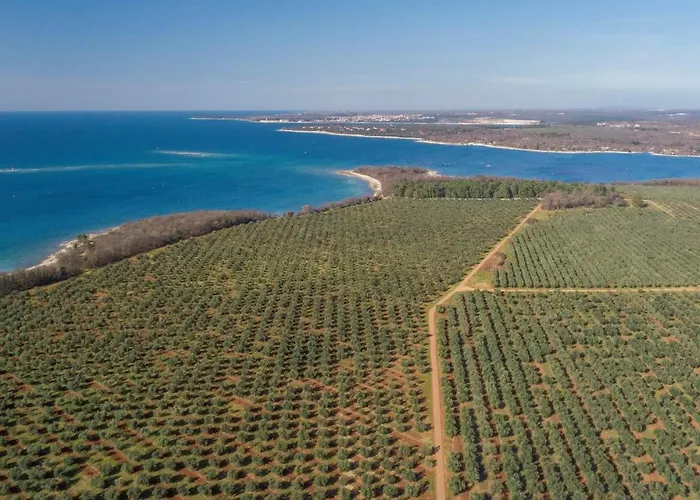 With Sea View Near Διαμέρισμα *